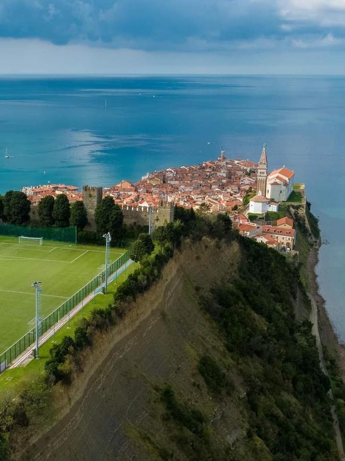 Apartment Wine & Olive Oil Mofardin Koper városi község Kültér fotó