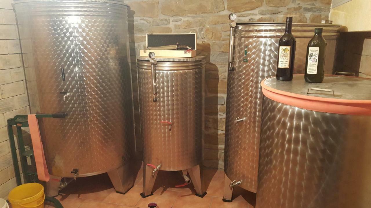 Apartment Wine & Olive Oil Mofardin Koper városi község Kültér fotó